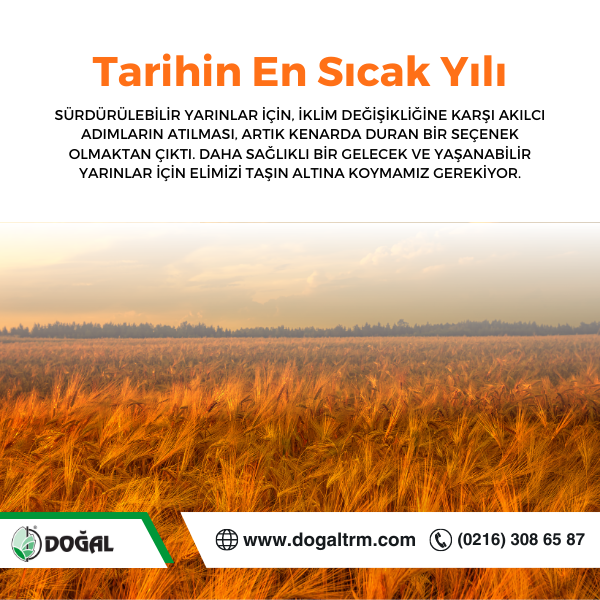 Tarihin En Sıcak Yılını Yaşıyoruz