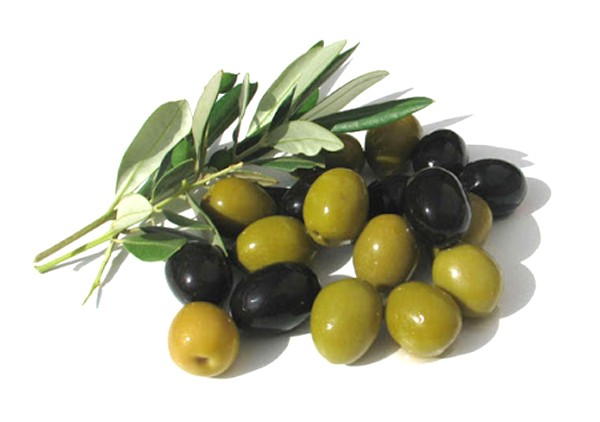 ZEYTİN