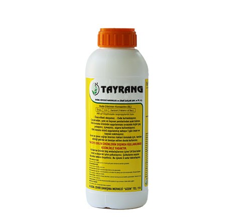 TAYRANG 