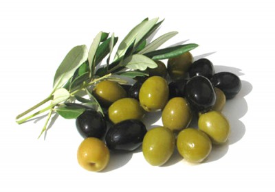 ZEYTİN