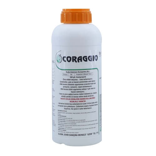 CORAGGIO