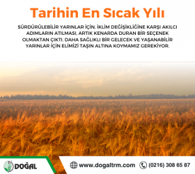 Tarihin En Sıcak Yılını Yaşıyoruz